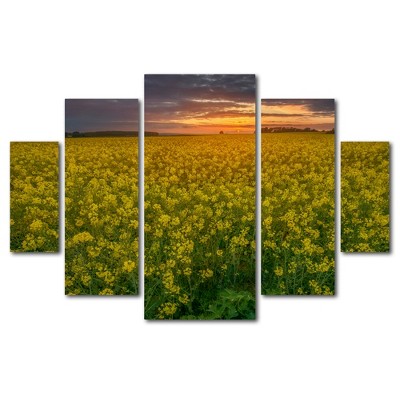 Trademark Fine Art - Mathieu Rivrin 'Yellow Planet' Multi Panel Art Set