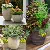 Impresa 20 Pack Pot Feet for Outdoor Planters - Invisible Plant Risers for Medium and Large Sized Heavy Pots - 3/4" Elevators - 4 of 4