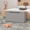 KTMBDW Wooden Toy Box Storage with Safety Hinged Lid for Girls and Boys - 2 of 4