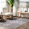 Nuloom Shenai SplashGuard Machine Washable Area Rug - 2 of 4