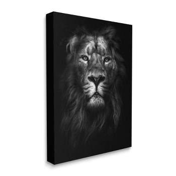 Stupell Industries King of the Jungle Lion In Shadows Black and White Photography