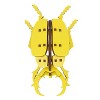 Little & Wood: Woodlet: Small - Beetle - Yellow, 3D Wooden Kit-Set, Ages 6+ - 3 of 4