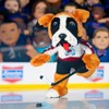 Bleacher Creatures Colorado Avalanche Bernie 10" Mascot Plush Figure (White Road Uniform) - 4 of 4
