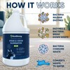 Cat Stain and Odor Eliminator - 4 of 4
