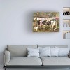 Canvas Wall Art - Trudi Simmonds 'Wash Day Chaos' Wall Art for Living Room, Bedroom, or Office Décor by Trademark Fine Art - 19 x 14 Inches - 3 of 4