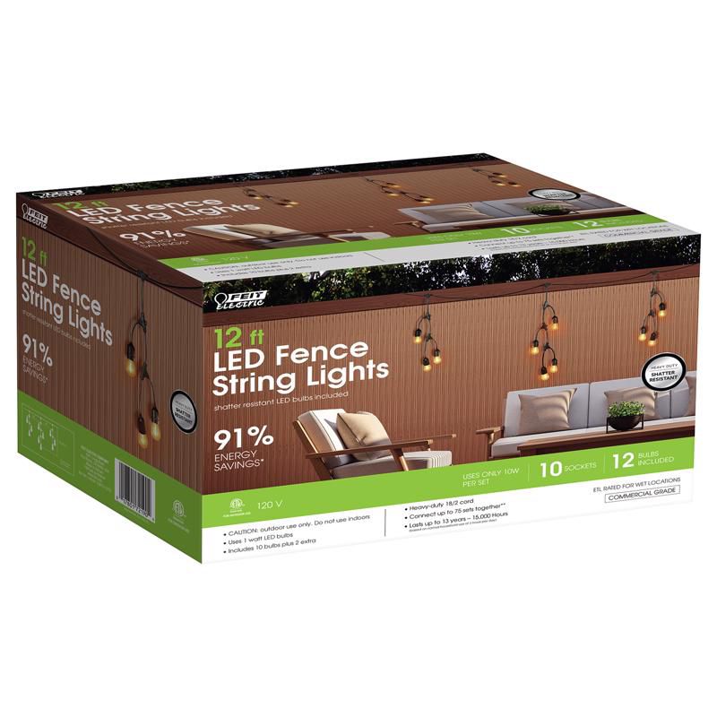 Feit Electric LED String Lights Clear 12 ft. 10 lights, 1 of 2