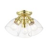 Livex Lighting Montgomery 3 - Light Flush Mount in  Polished Brass - 3 of 4