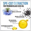 Premium Blackseed Oil 1000mg - Pure Nigella Sativa Black Seed with Thymoquinone (Non-GMO & Vegan) for Skin & Immune Support - 120 Softgels - 4 of 4