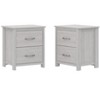 Galano Layton 2-Drawer Nightstand Effortless Assembly (Set of 2) - 19.1''W x 15.7''D x 21.9''H - 2 of 4