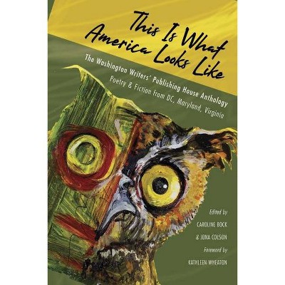 This Is What America Looks Like - by  Caroline Bock & Jona Colson (Paperback)