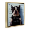 Stupell Industries Boston Terrier Jail Convicted Mugshot, 18" x 18" - 3 of 4
