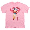 Boys' Short Sleeve Wonder Woman Ww Distressed Power Stance T-Shirt - 2 of 4