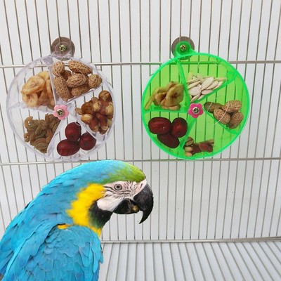 Bird feeder, parrot feeder, acrylic foraging wheel, pet parrot rotating anti bite puzzle toy, green