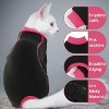 Sticky Hair Cat Clothes, Anti-Shed Cat Onesie Recovery Suit, Prevent Fur Shedding Shirts for Cats Only, Kitten Pajamas Costumes Outfits for Daily Wear - 4 of 4