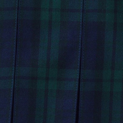 plaid classic navy/evergreen