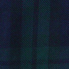 classic navy/evergreen plaid