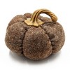 Whisen Set of 2, 8.3x8.3x5.3" Pumpkin, Pumpkin Ornament Decor for Harvest Festival Fall Festival & Thanksgiving - 3 of 4