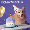 Dog Happy Birthday Cake Toy with Squeaker and Crinkle, Stuffed Plush Puppy Present for Birthday Party, Dog Toy for Small Medium - 2 of 4