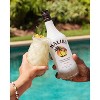 Malibu Coconut Caribbean Rum - 1.75L Bottle - image 3 of 4