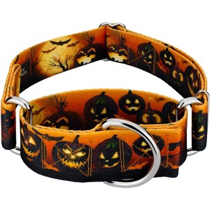 Country Brook Petz 1 1/2 Martingale Dog Collar - Halloween Collection - 1 of 4