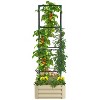 Vince24"x24"x11.75"Galvanized Raised Garden Bed with Trellis Tomato Cage, Planter Stand Box with Open Bottom, Patio Outdoor Furniture - The Pop Home - 2 of 4