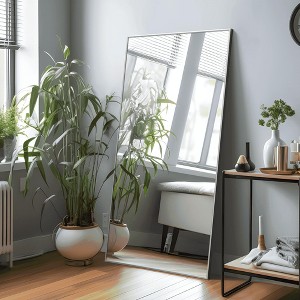 MAYEERTY Full Length Mirror - Arched Floor Mirror for Hanging or Leaning - 1 of 4
