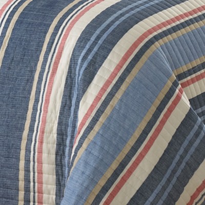 Oliver's Adventure Full Cotton Quilt Set in Blue and White for Boys