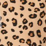 classic leopard