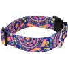Country Brook Petz HossFit Jr Wide Deluxe Dog Collar - Groovy Collection - 3 of 4