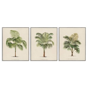 Stupell Industries Les Palmiers Botanical Trio, 24" x 30" - 1 of 4