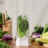 Prepara Herb Savor Eco Fresh Herb Keeper - Compact for Sleek Fridge Storage, BPA Free Plastic - Dishwasher Safe (2-Pack) - 2 of 4