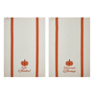 Harvest Blessings Pumpkin Tea Towel Set of 2 19x28 - 1 of 4