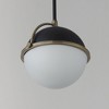 Maxim Lighting Duke 1 - Light Pendant in  Black/Weathered Brass - 3 of 4