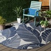Beach House BHS422 Power Loomed Stain Resistant Non-Shedding Indoor/Outdoor Rugs - Safavieh - 2 of 4