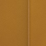 new england patriots