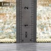 COZONY Washable Vintage Low Pile Area Rug, Non-Slip Non-Shedding Soft Floor Carpet for Living Room Bedroom Office - 3 of 4