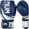 Venum Challenger 3.0 Training Boxing Gloves - 2 of 4
