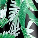 green palm leaves