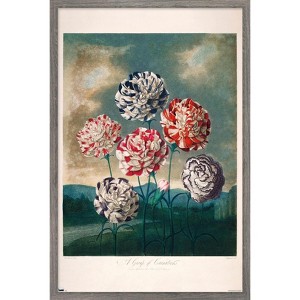 Trends International A Group Of Carnations Framed Wall Poster Prints - 1 of 4