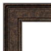 Amanti Art 20" x 54"Non-Beveled Ridge Bronze Full Length on The Door Mirror : Wall Mount, Polystyrene Frame - 3 of 4