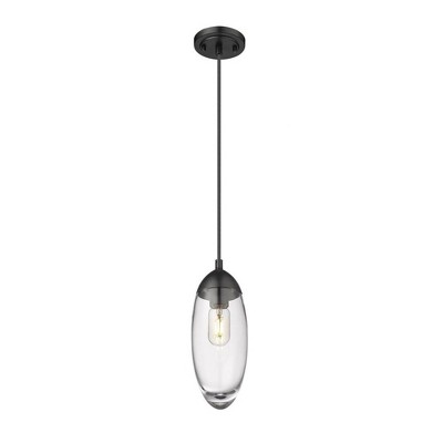 Matte Black Glass and Nickel Indoor/Outdoor Pendant Light