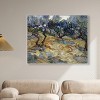 Art Remedy Vincent van Gogh - Olive Trees Van Gogh Classic Fields and Floral Wall Art Framed - 2 of 4