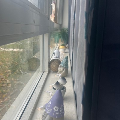 Guest review image 1 of 2, zoom in