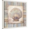 Amanti Art 16"x16" Beach Shell I by Elizabeth Medley: Coastal Nautical Wall Decor, Modern Style - 2 of 4