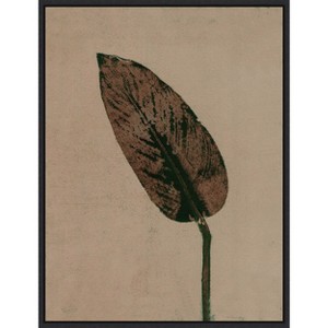 Amanti Art Calathea Brown by Pernille Folcarelli Canvas Wall Art Print Framed 18 x 24-in. - 1 of 4
