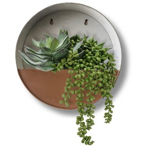 Modern Home Round Living Wall Mounted Galvanized Steel/Zinc Succulent/Herb Planter - 1 of 4