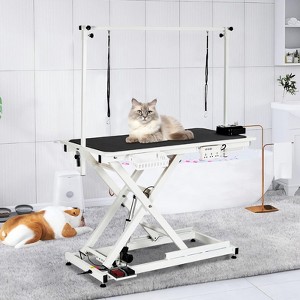 COZONY 50" Professional Heavy-Duty Dog Grooming Table for Large Dogs, Height-Adjustable with Arm, Non-Slip Surface - 1 of 4