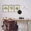Stupell Industries Les Palmiers Botanical Trio, 11" x 14" - 3 of 4