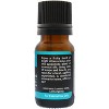 Plantlife Citrus Burst Essential Oil Blend –  Pure & Therapeutic Grade – Natural, Undiluted & Uplifting – No Additives or Fillers – 10 ml - 2 of 3