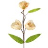 Northlight 28" Cream/Green Artificial Floral Spring Pick - 3 of 4